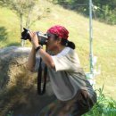 들꽃목장 이미지