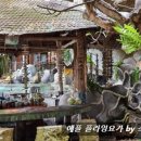 숲플라잉요가