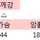 디디벨르