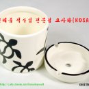 거북이 몰 이미지