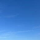 다이카마(월성) 이미지