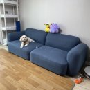 소파청소 패브릭 소파청소는 ‘허니룸케어’ 너무 만족스러웠던 후기(강아지 생활오염 소파 세척후기)