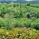 문호농장 이미지