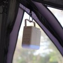 코지부호 이미지