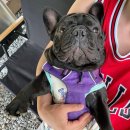 인제 연가리 오토캠핑장 펜션 이미지