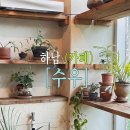 영커피 하남미사점 | 하남카페 추천, 수우 하남미사점 다녀온 후기｜주차·브런치·분위기 총정리