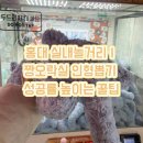 도전뽑기천국 | 홍대 실내놀거리｜짱오락실 인형뽑기 성공률 높이는 꿀팁