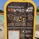 보라매공원 | 보라매공원 벚꽃 실시간 후기 (개화상황, 주말 아이랑 방문)