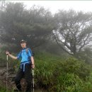 원광약업사 이미지