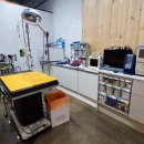 신규동물병원 이미지