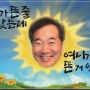 여니사랑