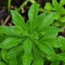 기린초등학교 이미지