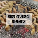 아산 배방 : 마초장어, 내돈내산 장어구이 찐맛집 추천(한달에 두번 다녀옴)