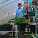 최창호농장 이미지