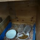 무지개농장1 이미지