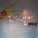 반딧 이미지