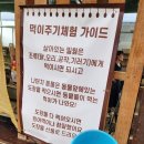 플레이스 | 용인 아이랑 가볼만한곳 실내 동물체험 리프플레이스 후기
