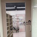 그루밍포유 | 울산가볼만한곳 성남동고양이카페 고양이사랑방 포유