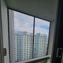안동명성약품 | 퇴치는 이렇게하시면됩니다(수성동일하이빌레이크시티) 구미 포항 안동 울산 마산 밀양 창원 시공가능