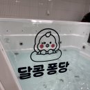 튼튼합기도 | 청주 아기랑 갈만한 곳 달콩퐁당 1인 수영장 신생아
