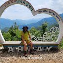 아침가리 계곡 캠핑장 이미지