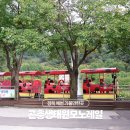 예천박물관 | 경북 예천 가볼만한곳 곤충생태원 모노레일 탑승 후기