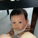 2분기 모음집
