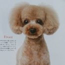 강아지정거장 - 서구 운천로 128 | 강아지정거장