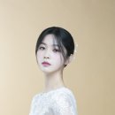 파라팜 이미지