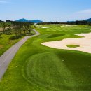 솔라시도 이미지