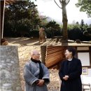 나무야 나무야 이미지