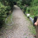 김창규농장 이미지