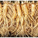 원당한의원 이미지