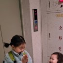 성북초등 이미지