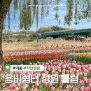 고온항 쉼터 공중화장실 | 용비쉼터 튤립 정원 실시간 개화현황 가는법, 주차장 (서울 튤립 명소)