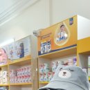 째하이퐁