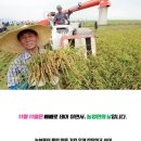 유나이티드 미르태권도장 네이버블로그