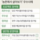일산자두골마을 이미지