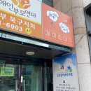 댕댕이점빵 네이버블로그