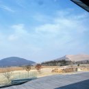 제주 애월의 핫플! 대형 베이커리 카페 &#39;제주당&#39; 방문 후기(내돈내산)