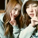 이박목장 이미지