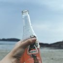 행정사김승호사무소 이미지