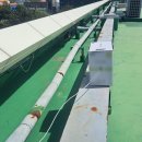 대저중학교 이미지