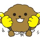 리본반려견 유치원 이미지