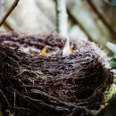 운동화이야기 이미지