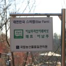 이남주자연아래버섯 이미지