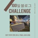 [100일블로그챌린지] 배곧 케이크 맛집 : 몽떼의 퀸즈케이크 후기