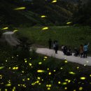 예체문화관 다목적홀 이미지