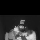 씨더룸