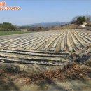 고평마을회관 이미지